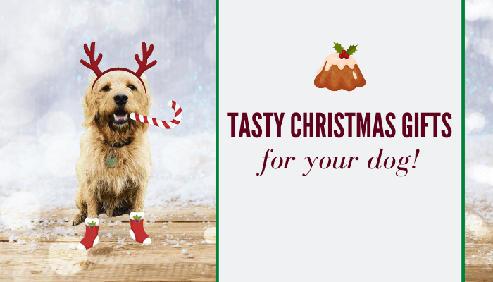 Christmas Gifts for Your Dog