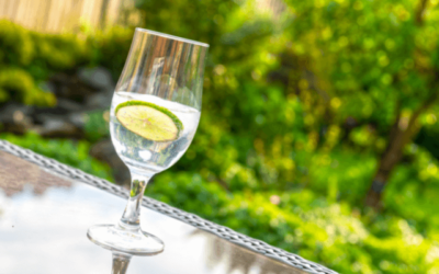 7 Gins to Try this Summer