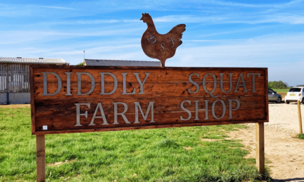 A Visit to Diddly Squat Farm Shop